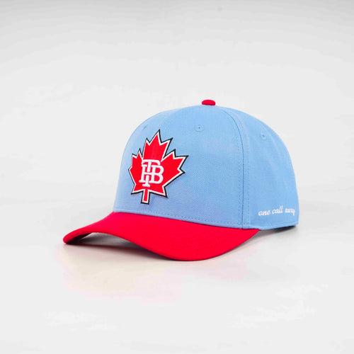 A Day at the Ball Park — BB69 Memorial Hat